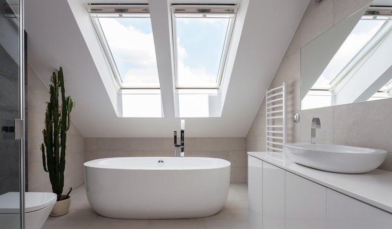 Pose Velux Paris